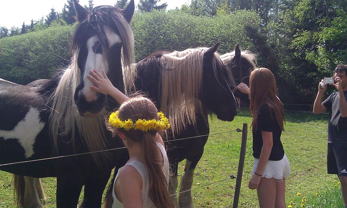 Billeder fra da jeg var oppe og besøge min kusine billede 4