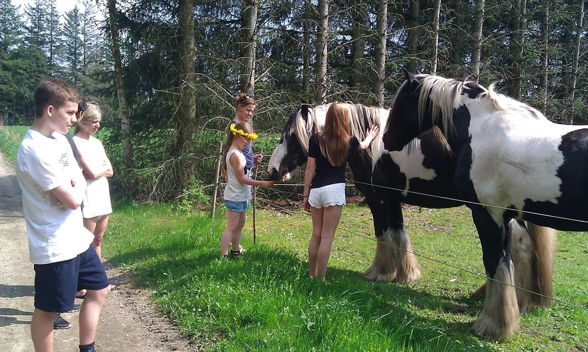 Billeder fra da jeg var oppe og besøge min kusine billede 1