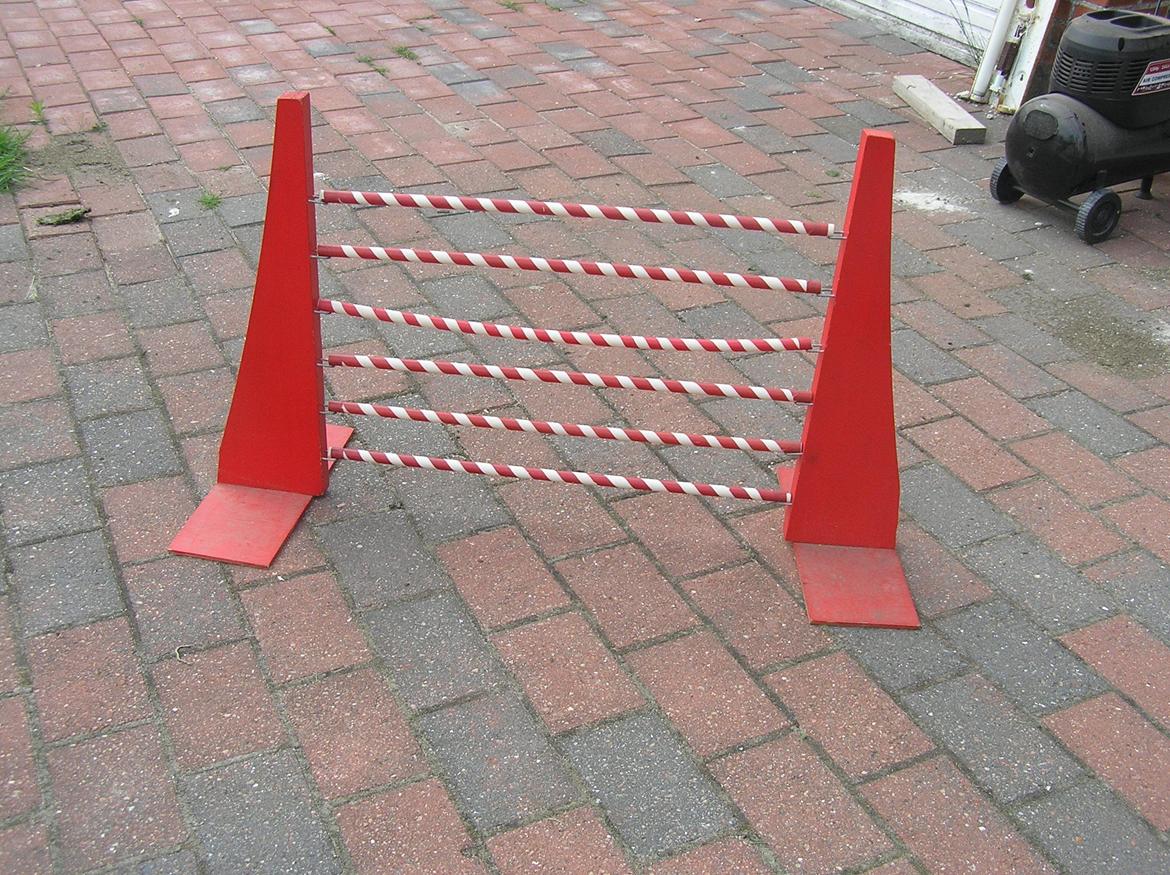 Springene! | Stald Tjørn - Det røde spring | Købt af Lulle Sønderhop. billede 2