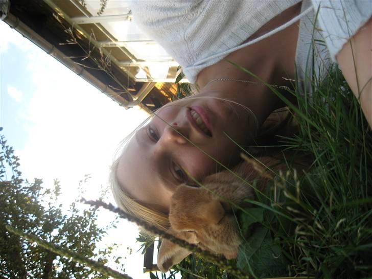 Blandede billedere af skønne ninuser gennem tiden :)  billede 54