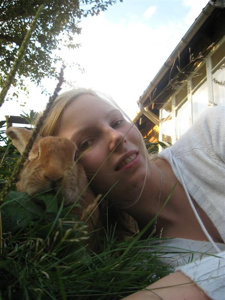 Blandede billedere af skønne ninuser gennem tiden :)  billede 62