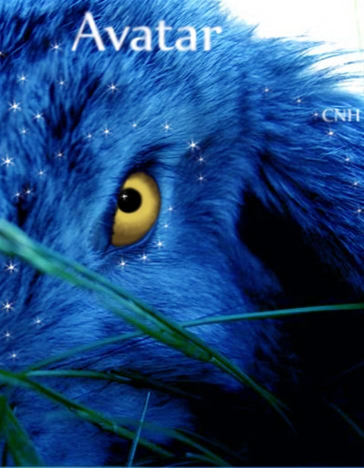 Avatar Dyr - Lavet til folk, af mig (: billede 1