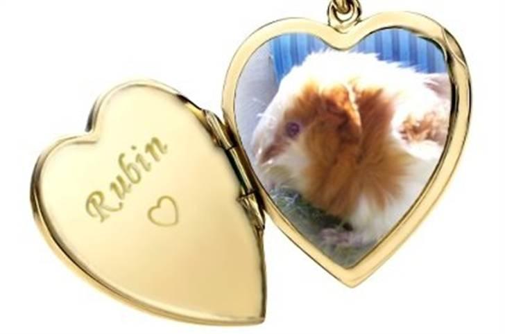 Hjerte billeder til andre ! :D - Rubin billede 29