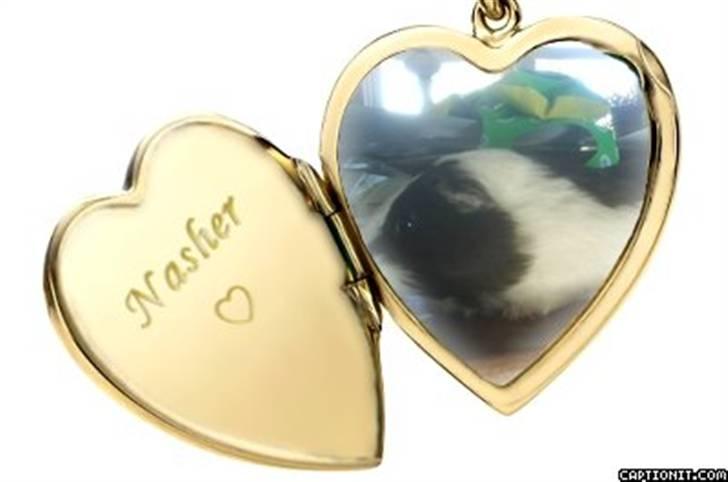 Hjerte billeder til andre ! :D - Nasher billede 31