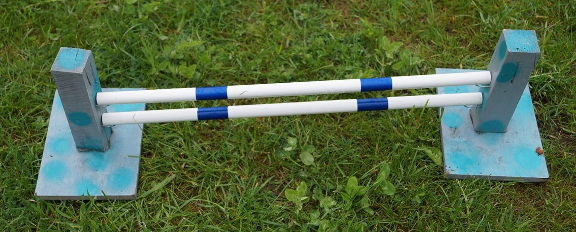 Mine Kanin spring billede 51