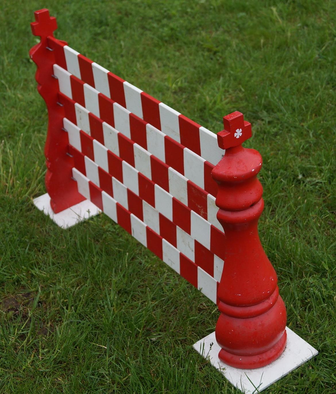 Mine Kanin spring billede 22