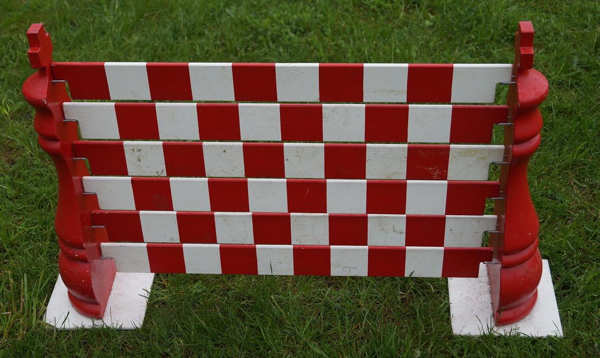 Mine Kanin spring billede 23