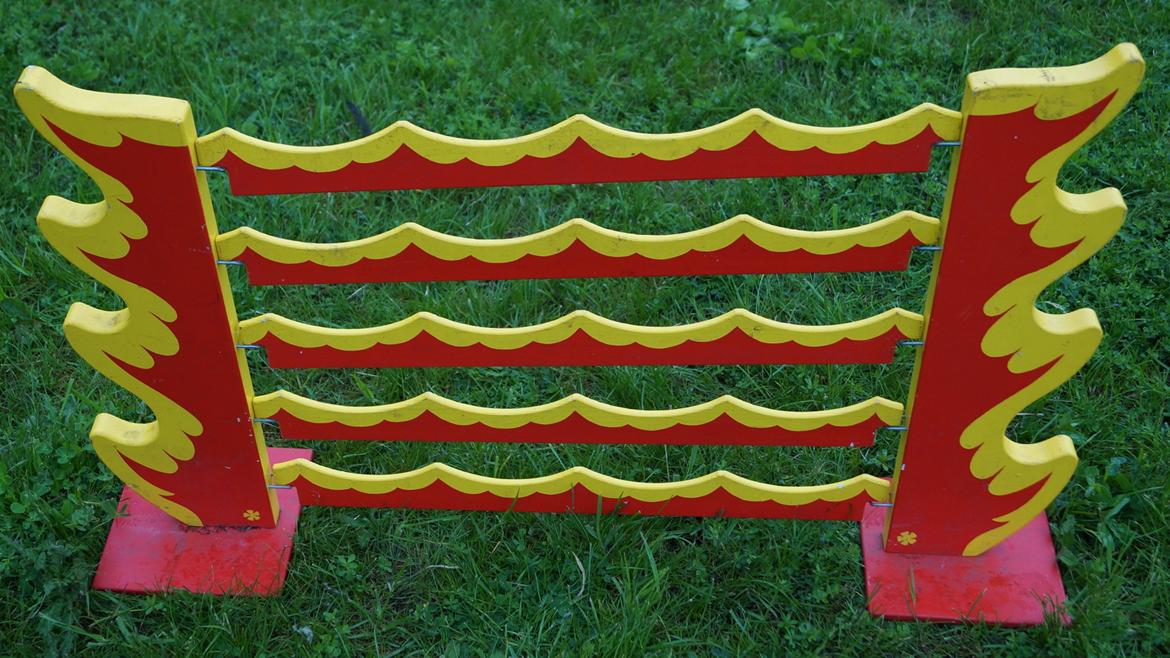 Mine Kanin spring billede 25