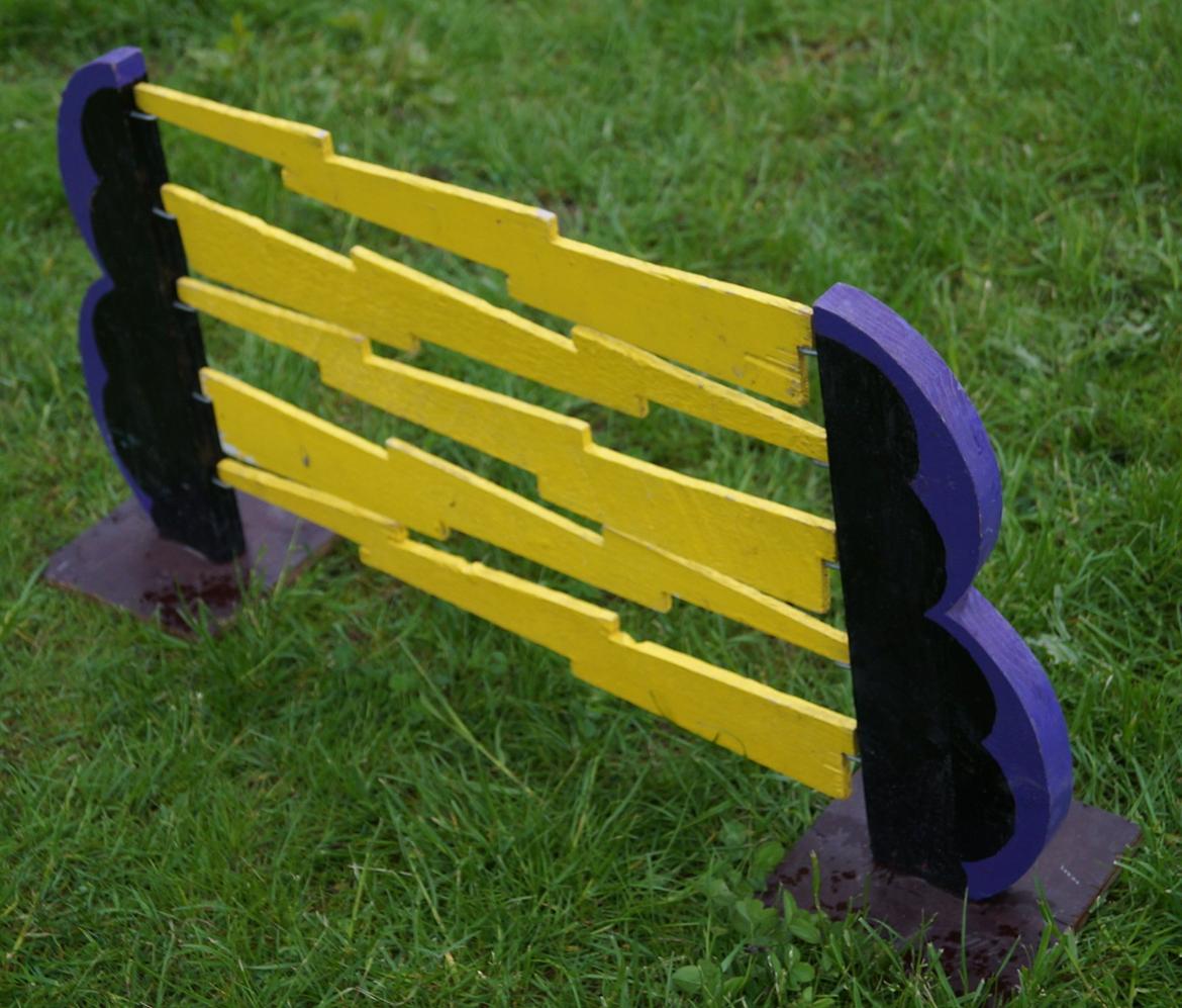 Mine Kanin spring billede 26