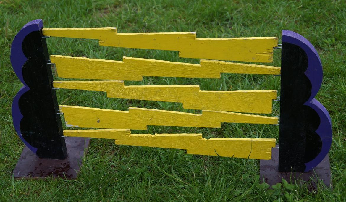 Mine Kanin spring billede 27