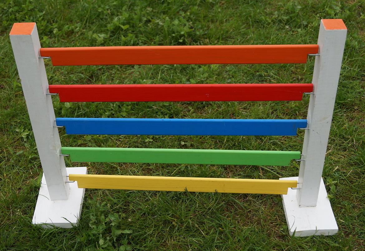 Mine Kanin spring billede 29