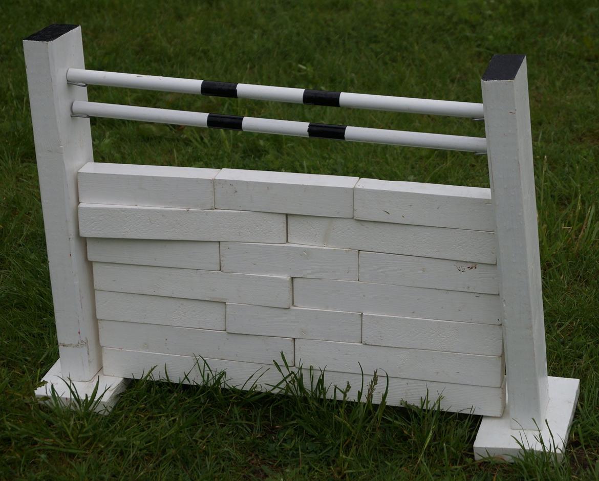 Mine Kanin spring billede 32