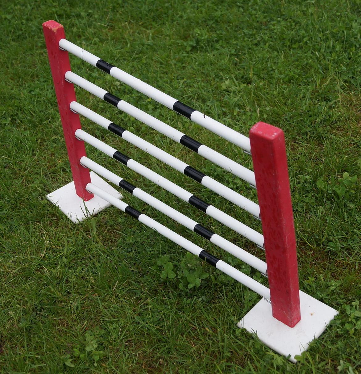 Mine Kanin spring billede 36