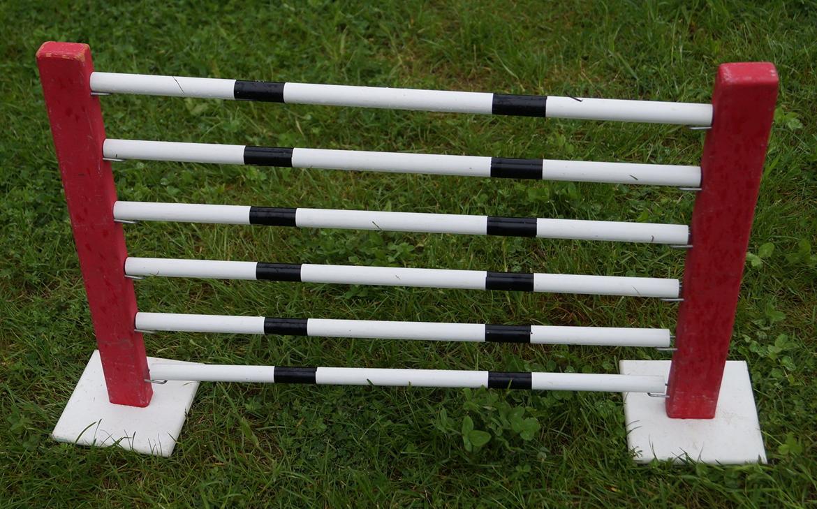 Mine Kanin spring billede 37