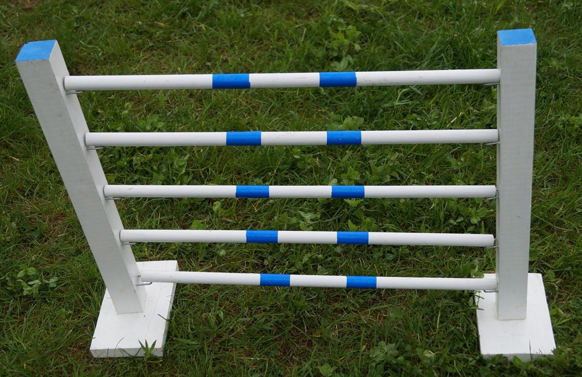 Mine Kanin spring billede 39