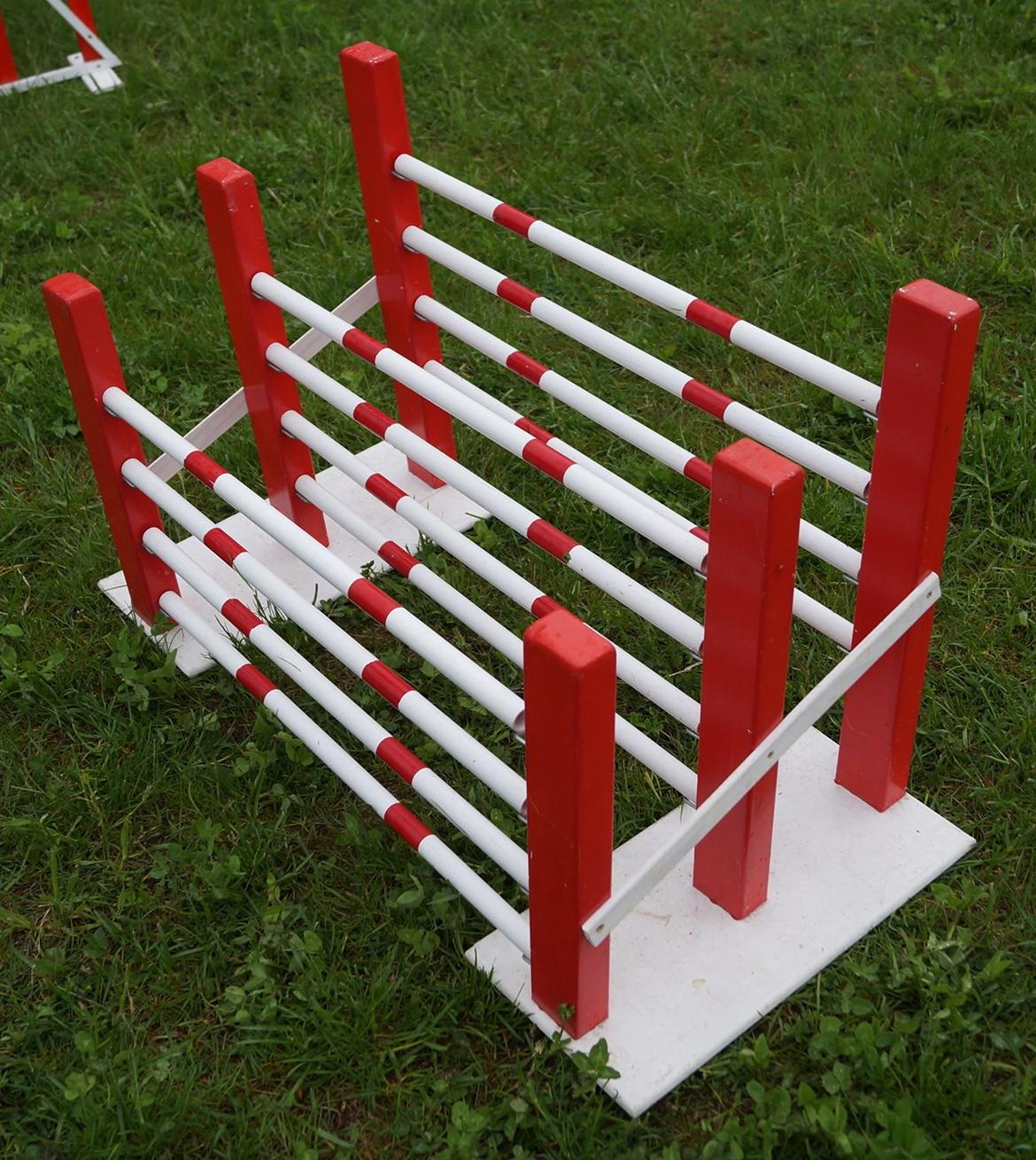 Mine Kanin spring billede 40