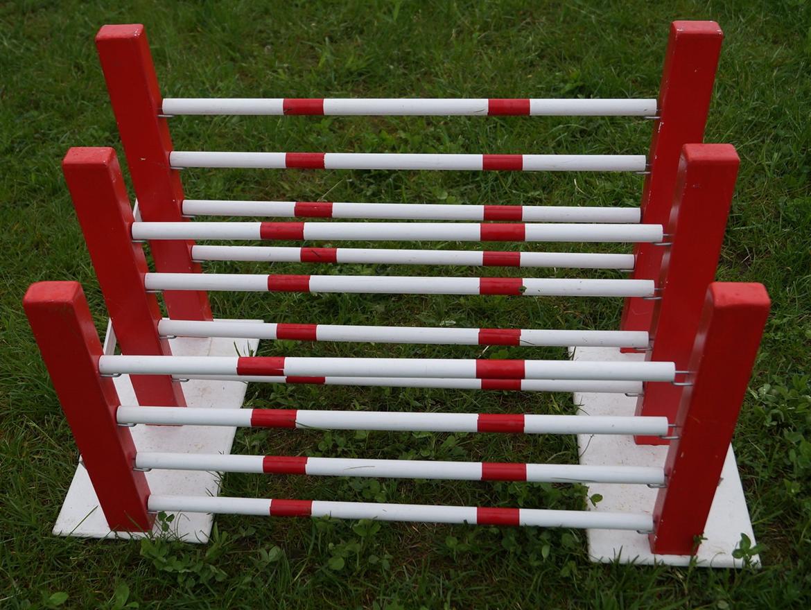 Mine Kanin spring billede 41