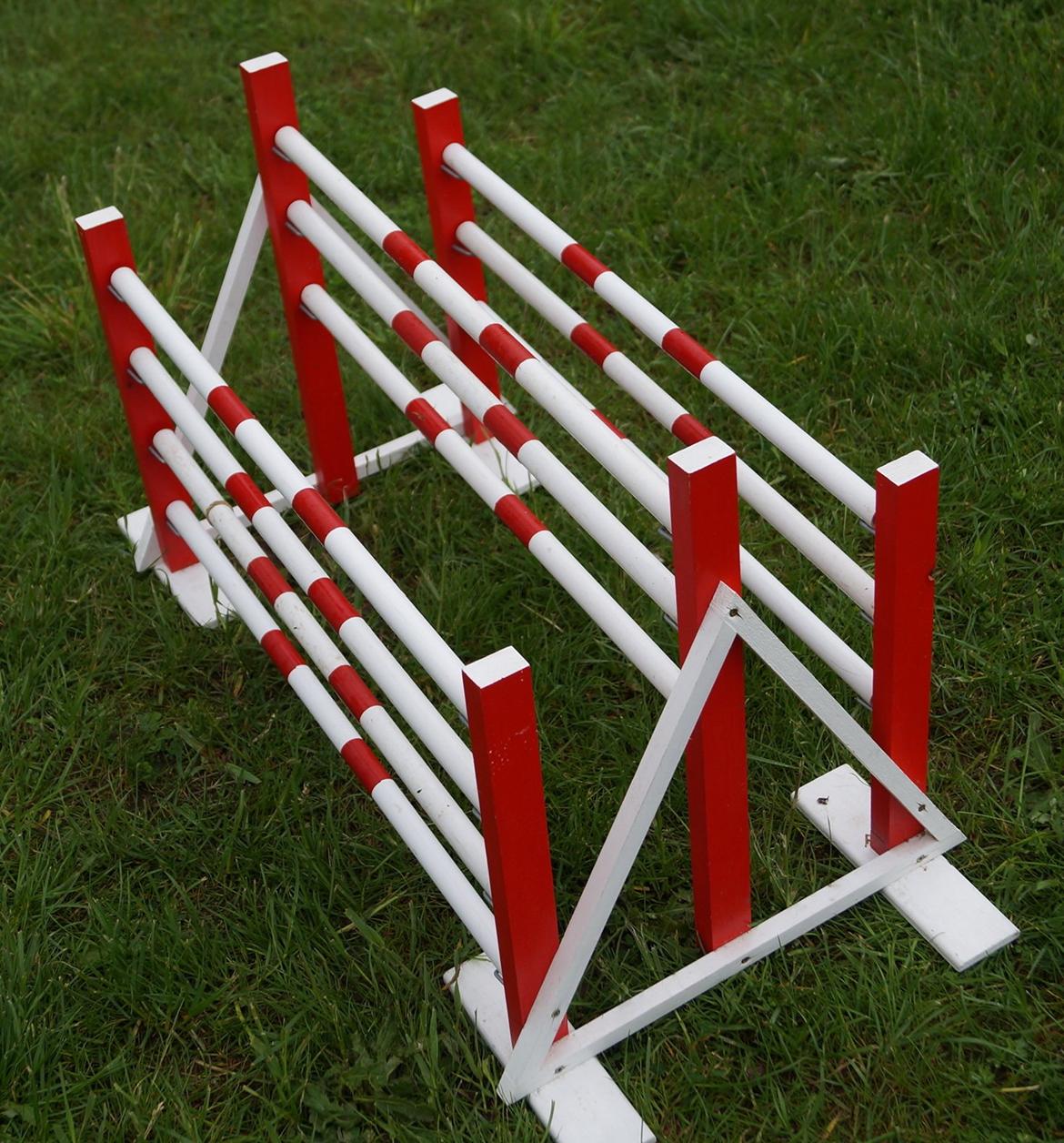 Mine Kanin spring billede 42