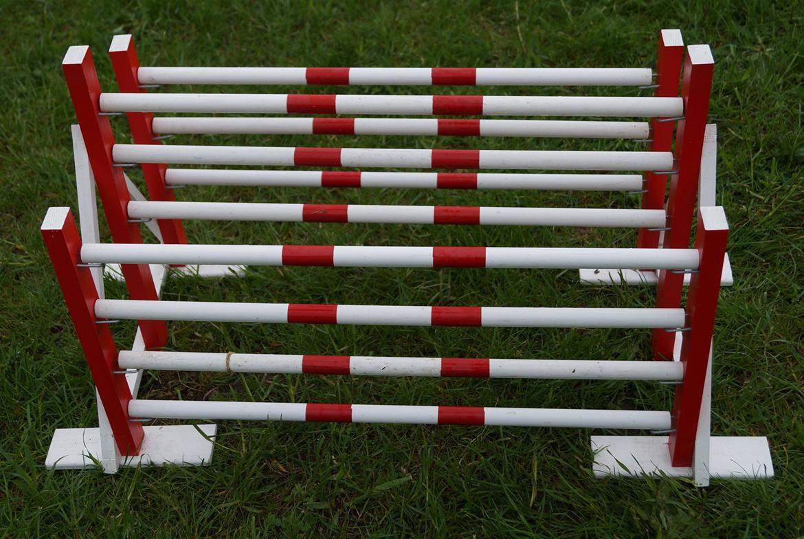 Mine Kanin spring billede 43