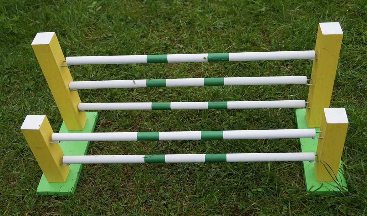 Mine Kanin spring billede 47