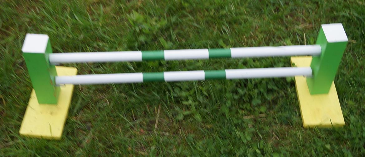 Mine Kanin spring billede 49