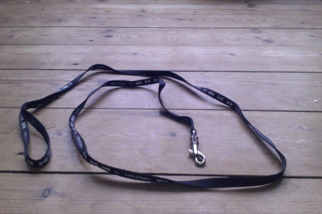 Mine kanin ting:) - Min 1 meter lange snor:) billede 2