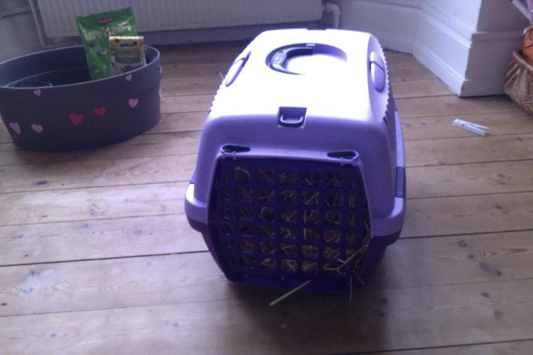 Mine kanin ting:) - Min transportkasse:) billede 13