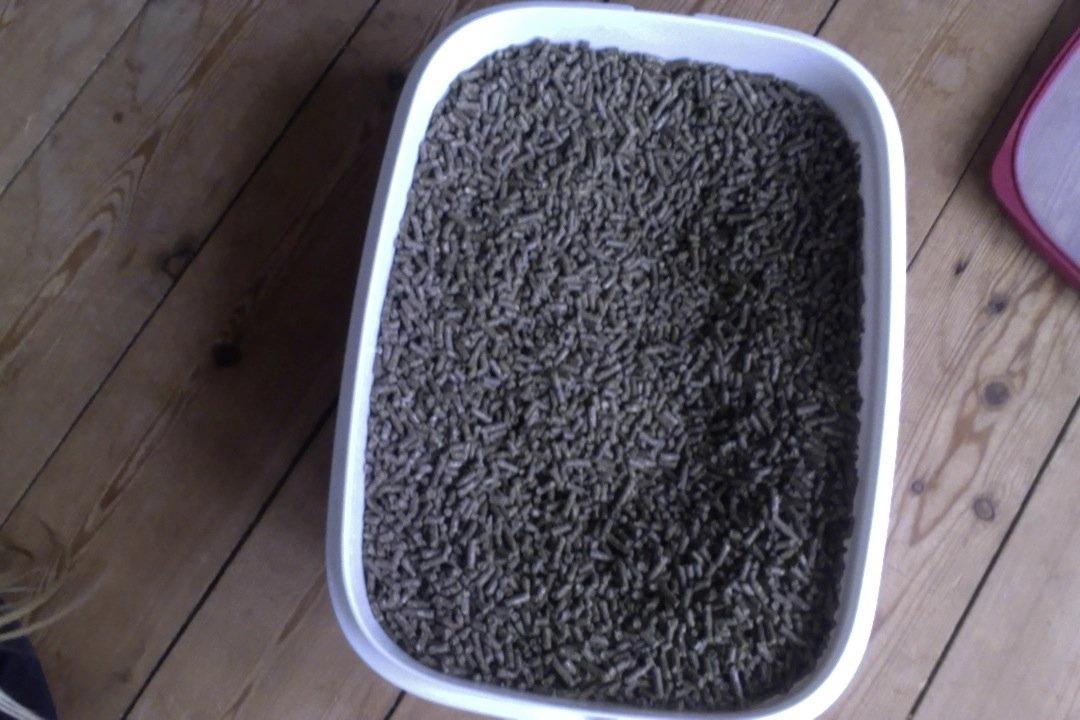 Mine kanin ting:) - Pillerne igen:) billede 16