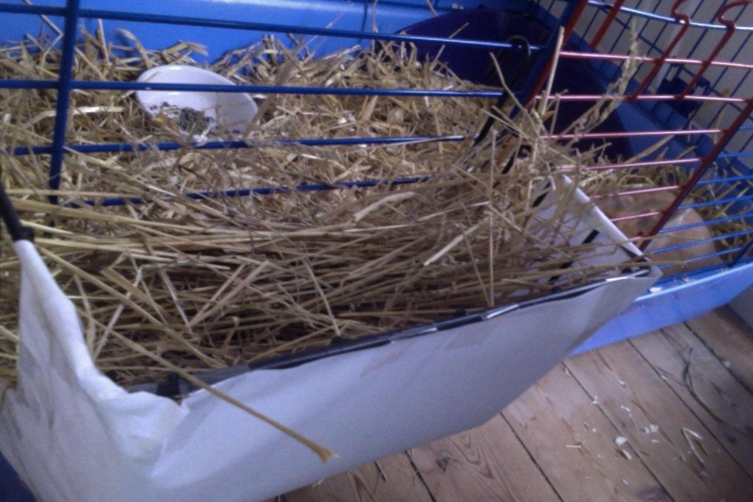 Mine kanin ting:) - Hendes hø hæk. Den er i brug lige nu:) billede 18