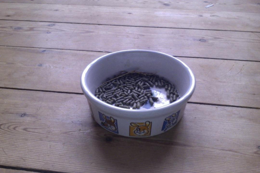 Mine kanin ting:) - Hendes madskål. Den er i brug:) billede 19