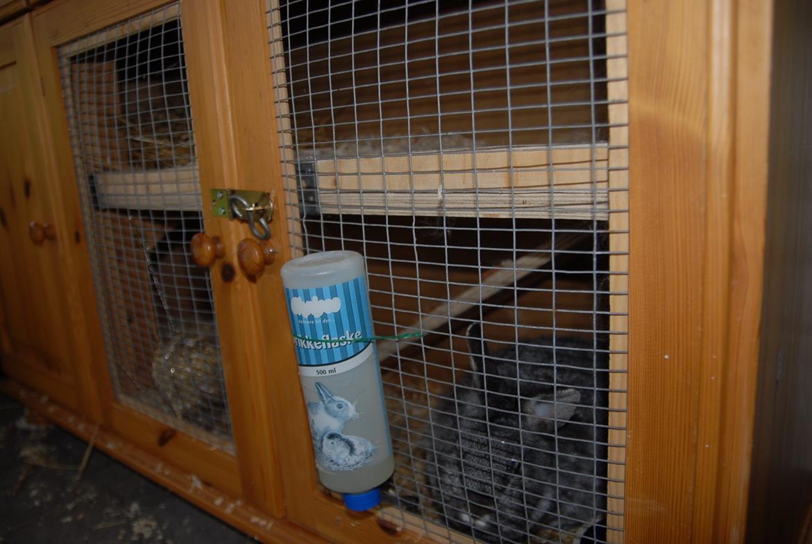 Hjemmelavet kaninbur efterår 2013 - Det færdige resultat :-) billede 10