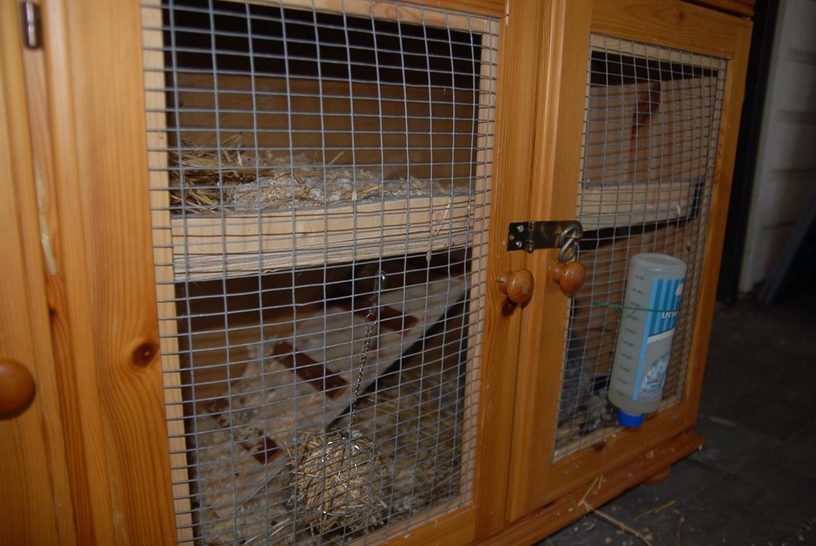 Hjemmelavet kaninbur efterår 2013 - Det færdige resultat :-) billede 11