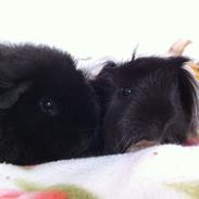 It's better together <3