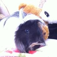 It's better together <3