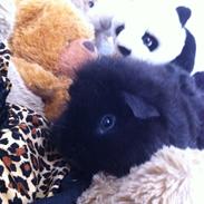 It's better together <3