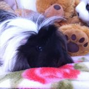 It's better together <3