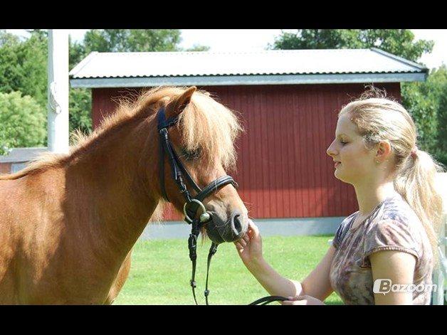 Alle mine mange skønne dyr :) - Mig og Zafir billede 24