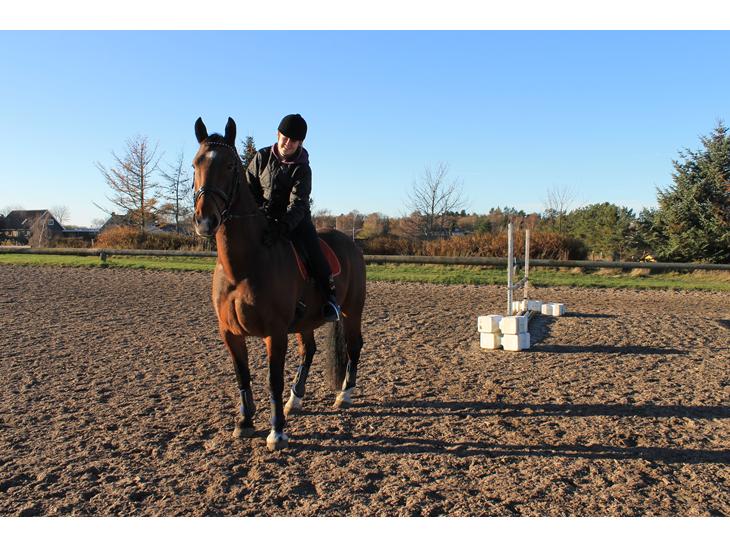 {{currentPhoto.altText}} billede {{currentPhoto.number}}