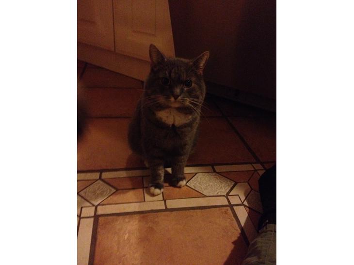 {{currentPhoto.altText}} billede {{currentPhoto.number}}