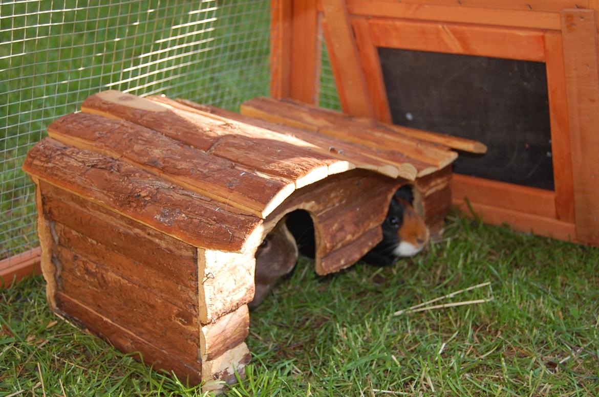 Den nye løbegård billede 7