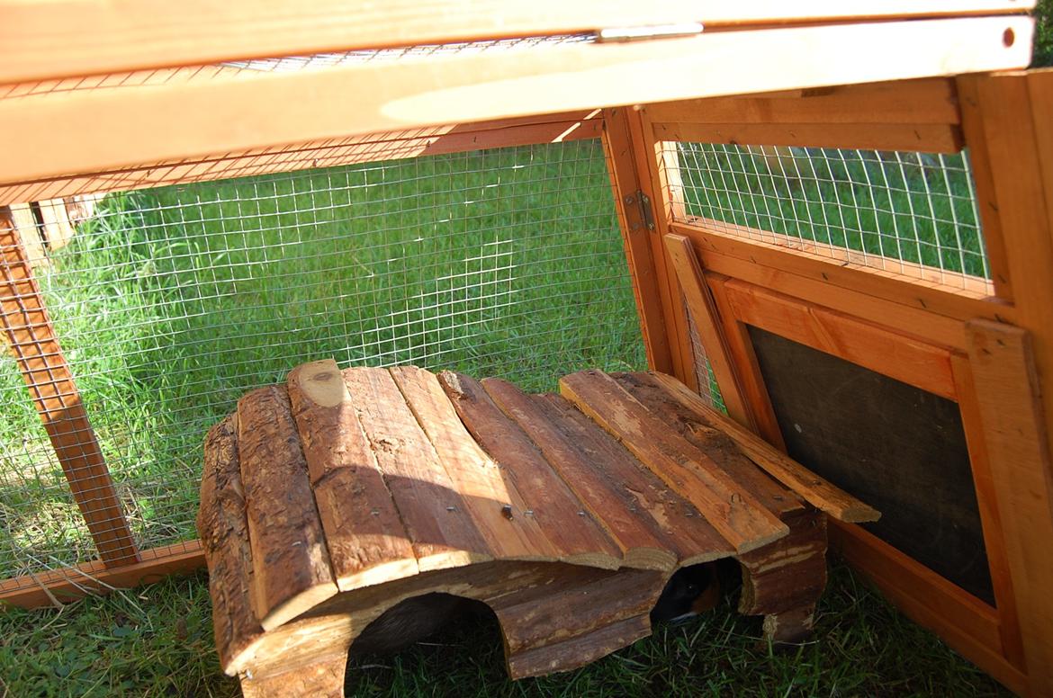 Den nye løbegård billede 8