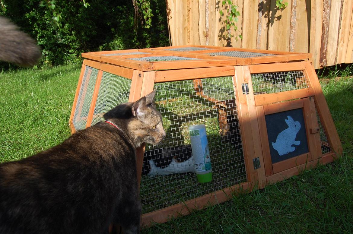 Den nye løbegård billede 3