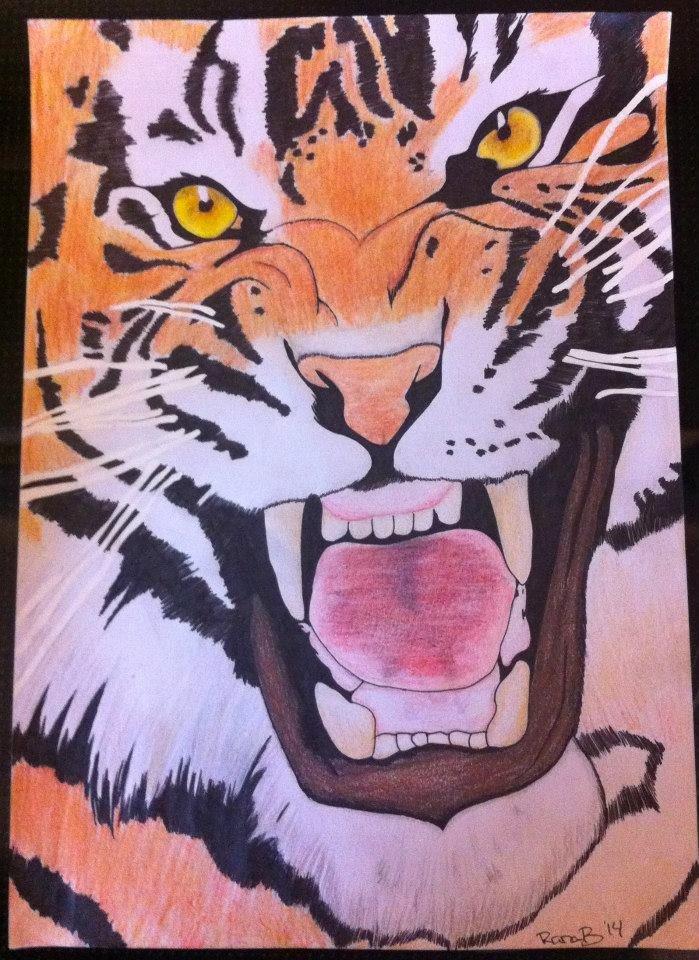 Private tegninger og malerier - Tiger billede 4