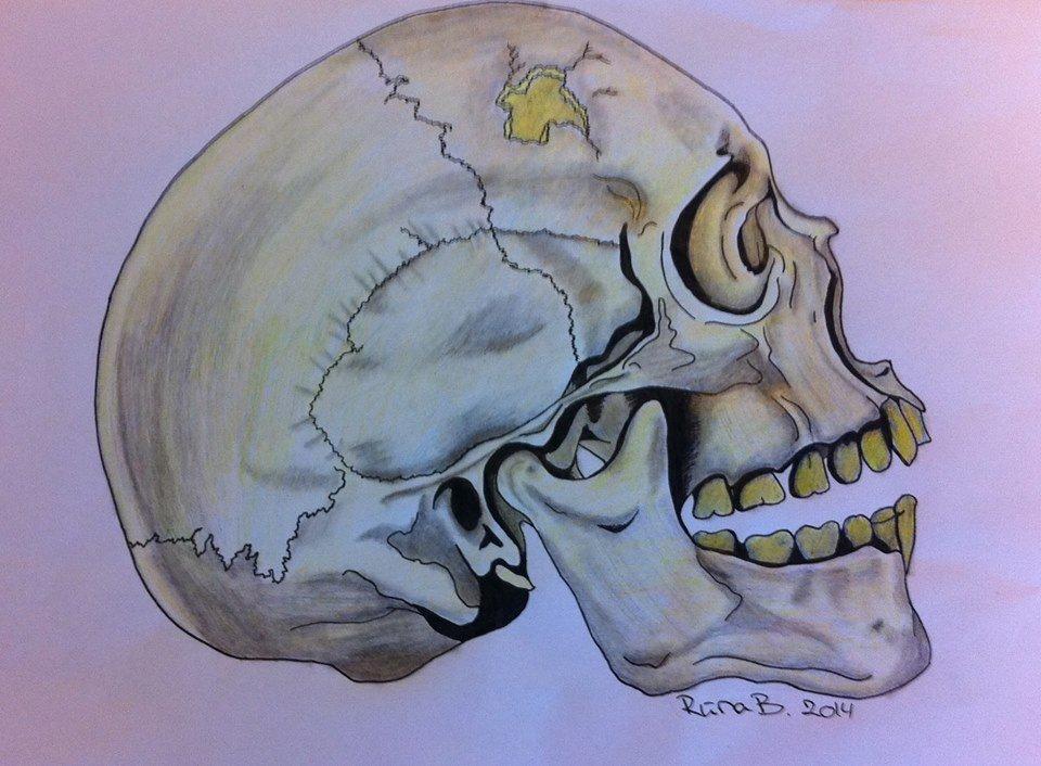 Private tegninger og malerier - Skull billede 3