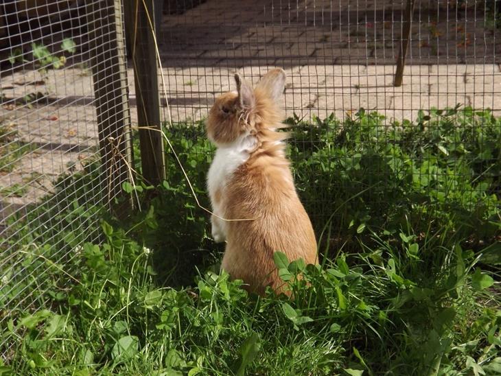 {{currentPhoto.altText}} billede {{currentPhoto.number}}