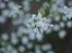 Natur