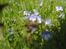 Natur