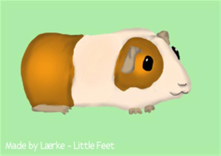 Kreative ting... - Sjovt marsvin, lavet d. 13. juni 2010 af mig : D
Lavet i photoshop billede 19