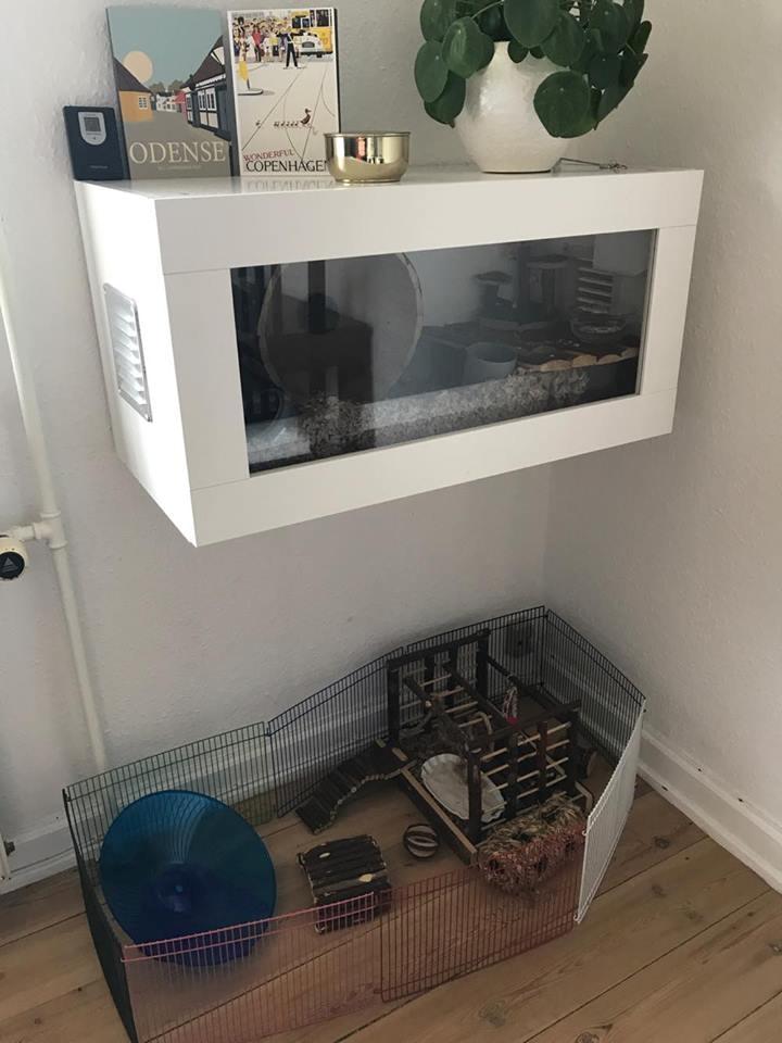 Theodores bur + løbegård billede 1