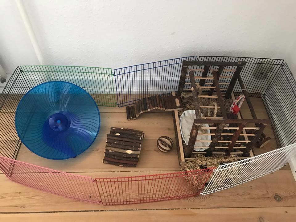 Theodores bur + løbegård billede 2